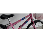 Bicicleta aro 20 rbx rosa brilhane wrp