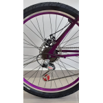 bicicleta aro 26 Fastness c/suspençaoo e freio a disco violeta wrp