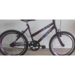 Bicicleta aro 20 mtb verona violeta wrp