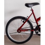 Bicicleta aro 20 mtb verona vermelho/fire brilhante wrp
